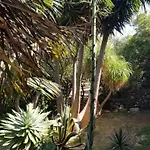 Daire La Casita De La Vega *