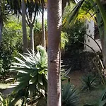 La Casita De La Vega Icod De Los Vinos