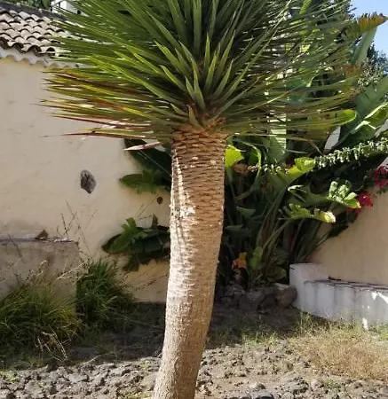 La Casita De La Vega Icod De Los Vinos