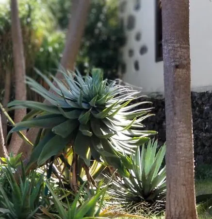 아파트 La Casita De La Vega *