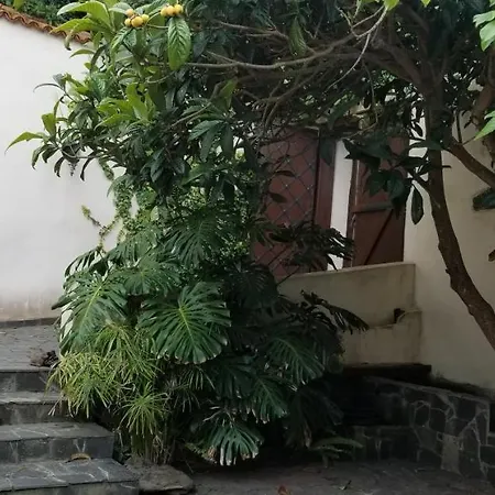 La Casita De La Vega * Icod De Los Vinos