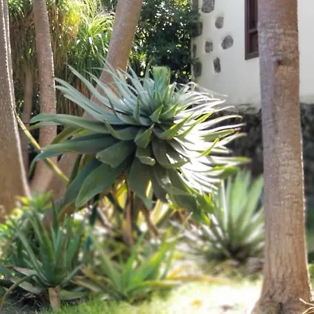 La Casita De La Vega Appartamento Icod De Los Vinos