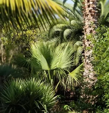 아파트 La Casita De La Vega 이코드레로스비노스