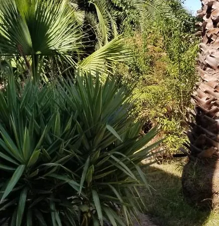 La Casita De La Vega * Icod De Los Vinos