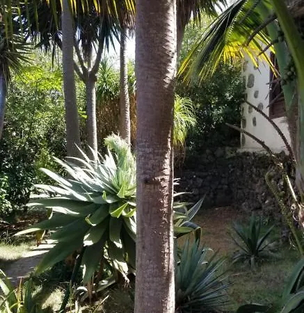 La Casita De La Vega Icod De Los Vinos