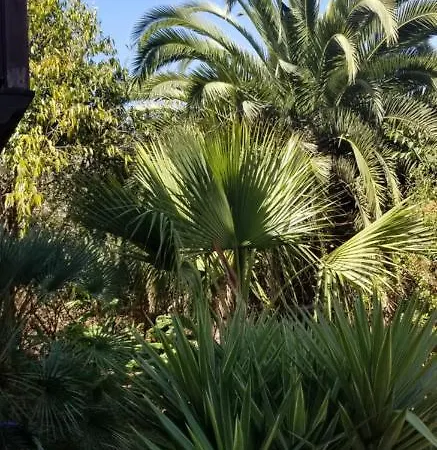 아파트 La Casita De La Vega *