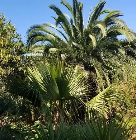 La Casita De La Vega