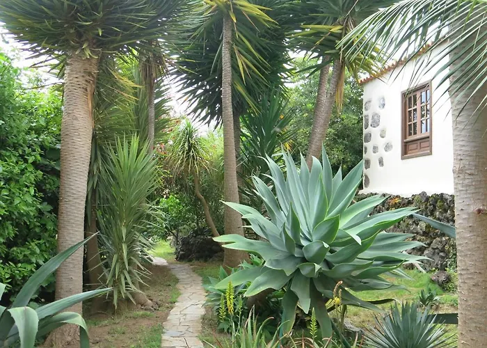 La Casita De La Vega Lägenhet Icod De Los Vinos