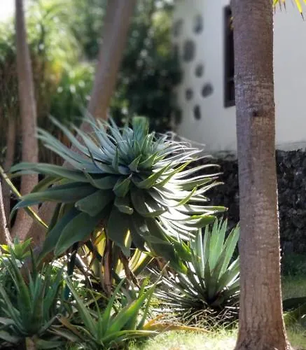 Lägenhet La Casita De La Vega *