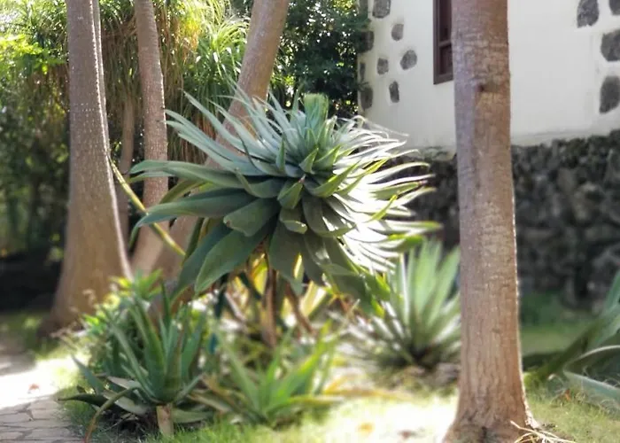 La Casita De La Vega Lägenhet Icod De Los Vinos