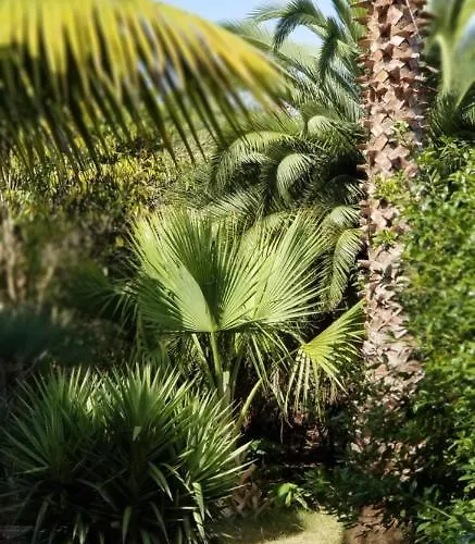 Lägenhet La Casita De La Vega Icod De Los Vinos
