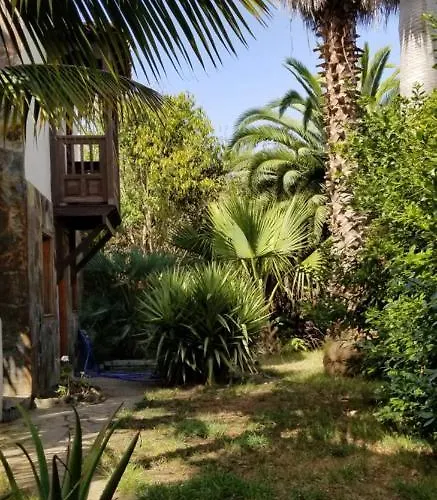 La Casita De La Vega Icod De Los Vinos