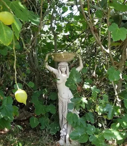 Lägenhet La Casita De La Vega *