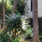 Апартаменты La Casita De La Vega *