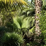 Апартаменты La Casita De La Vega Икод-де-лос-Винос