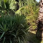 La Casita De La Vega * Икод-де-лос-Винос
