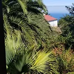 Apartamento La Casita De La Vega Icod De Los Vinos