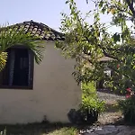 Апартаменты La Casita De La Vega Икод-де-лос-Винос