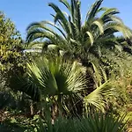 La Casita De La Vega