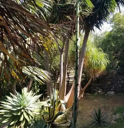 Apartmán La Casita De La Vega *
