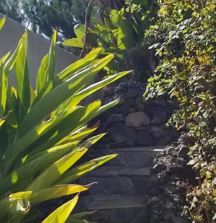 La Casita De La Vega