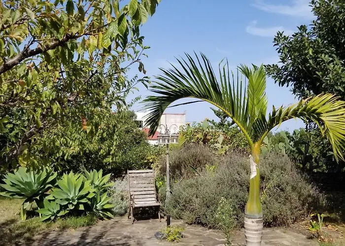公寓 La Casita De La Vega 伊科德·德·洛斯·维诺斯