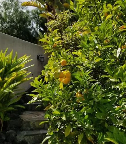 La Casita De La Vega