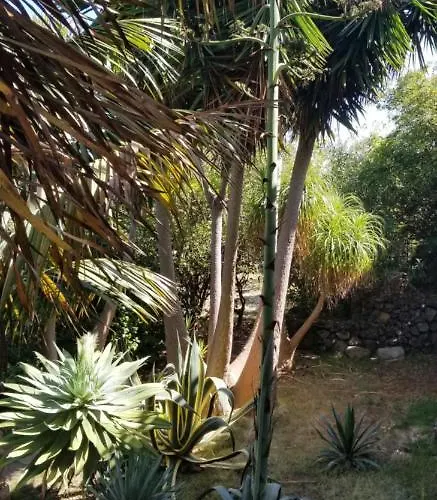 شقة La Casita De La Vega *