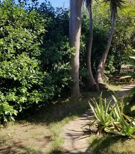 La Casita De La Vega * Icod de los Vinos