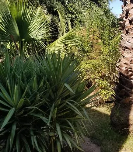 La Casita De La Vega * إيكود ذي لوس فينوس