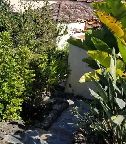 Apartman La Casita De La Vega Icod de los Vinos