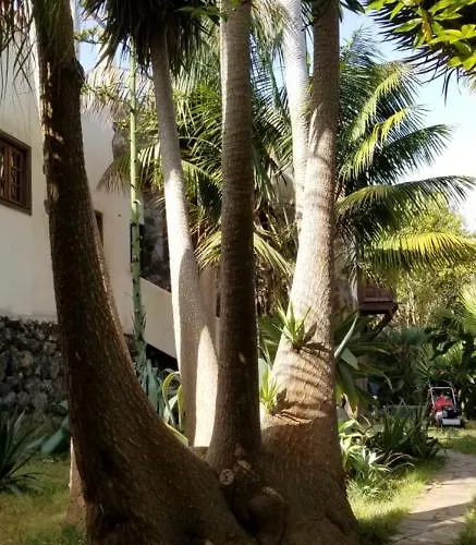 La Casita De La Vega Apartman Icod de los Vinos