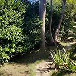 La Casita De La Vega * Icod De Los Vinos