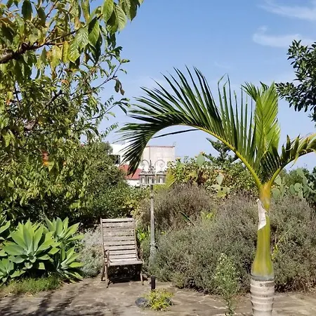 Appartement La Casita De La Vega Icod De Los Vinos
