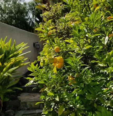 La Casita De La Vega