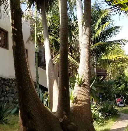 La Casita De La Vega Apartmán Icod De Los Vinos