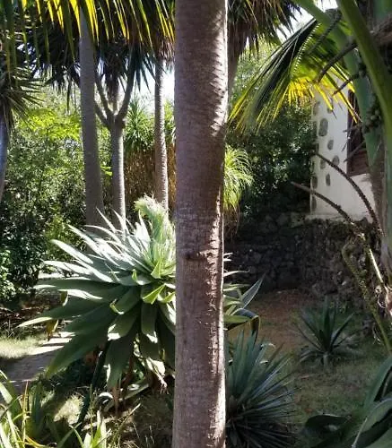 La Casita De La Vega Icod De Los Vinos