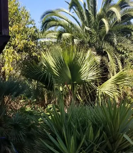 Lejlighed La Casita De La Vega *