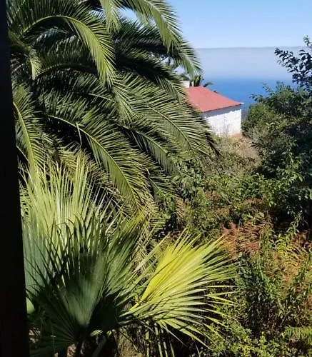 Lejlighed La Casita De La Vega Icod De Los Vinos