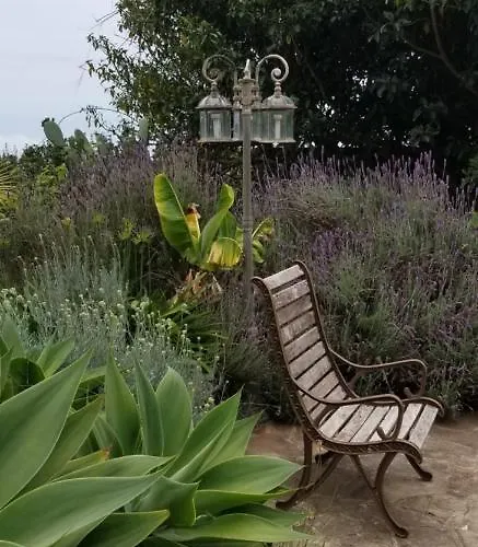 La Casita De La Vega Lejlighed