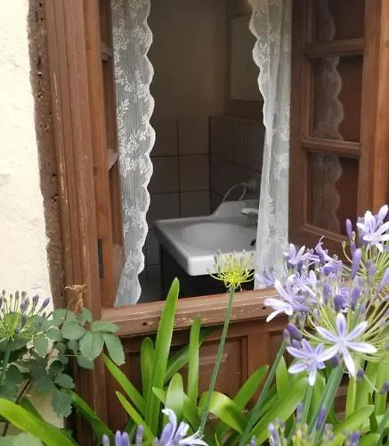 La Casita De La Vega * Icod De Los Vinos