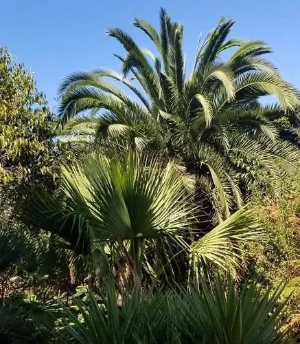 La Casita De La Vega